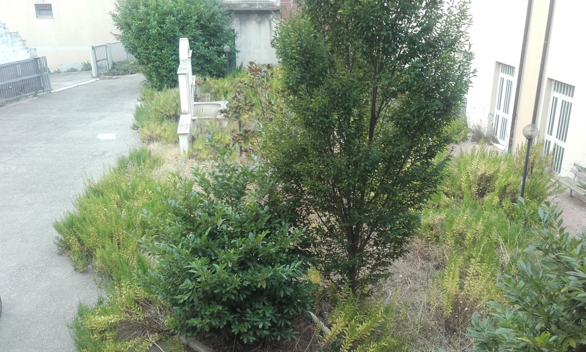 20160905_110356[1].jpg